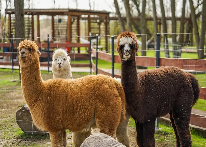 Comfortable Homes, Summer Pool, Sauna * نيخوجة